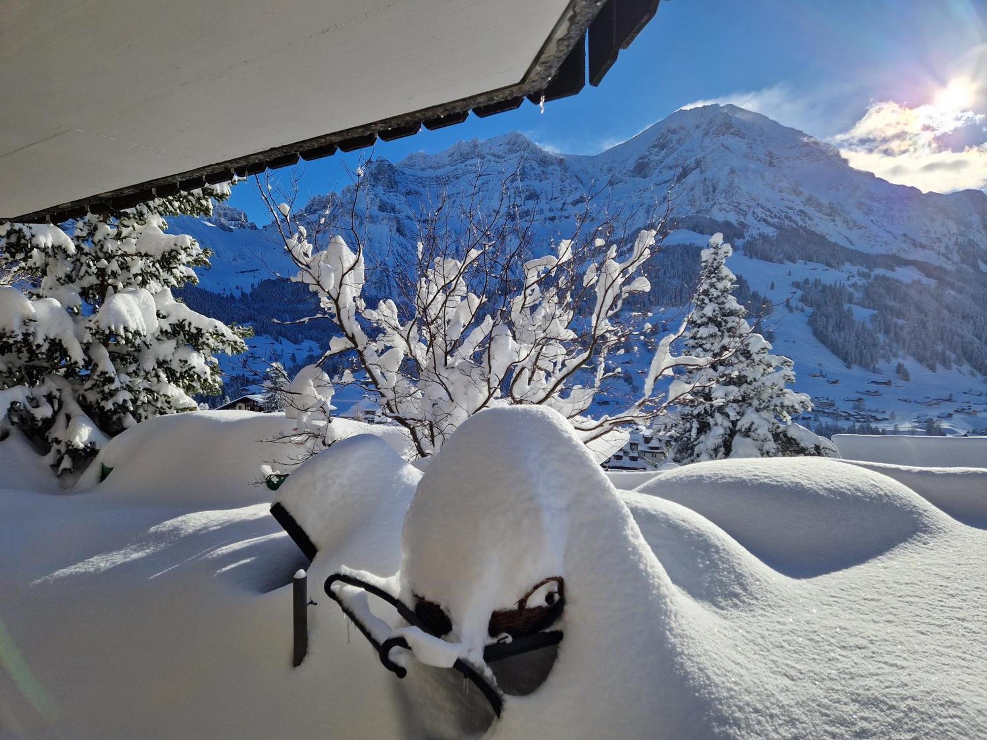 Chalet Gotthelf Gartenstudio, Ferien Mit Hund Аделбоден Екстериор снимка